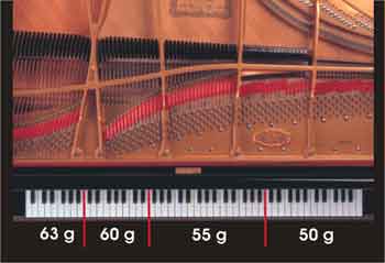 AWA Grand PRO II Zonen