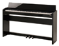 F110 Nero lucido Roland  